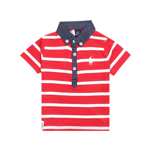Dark Red and White Strip Polo Shirt