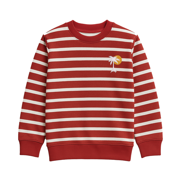 Boys Red Striped SweatShirt