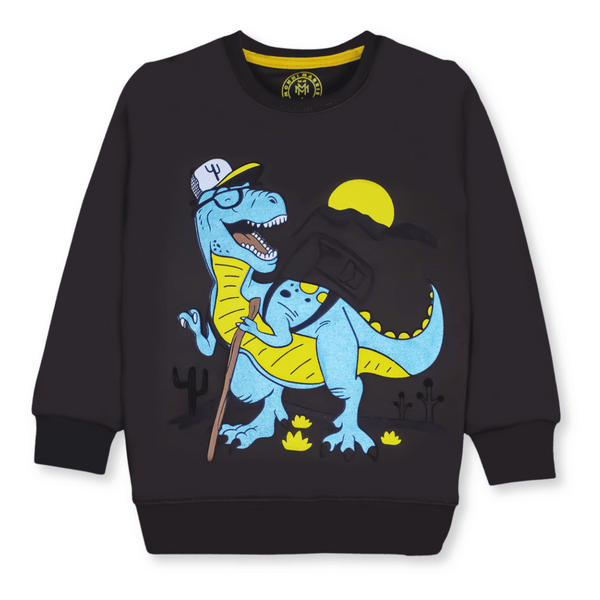 Boys Dino SweatShirt